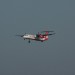 mini-IMG_4038