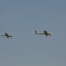loau_174
