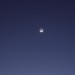 mini-IMG_5362