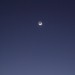 mini-IMG_5363