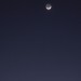 mini-IMG_5368
