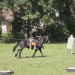 asparn10_020
