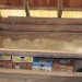 asparn10_111