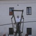 duernkrut_074