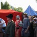 duernkrut_131