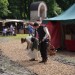 laxenburg10_013