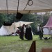 purgstall_058