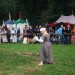 purgstall_133