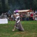 purgstall_155