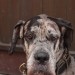 mini-IMG_5669