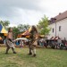 mini-DSC_0461