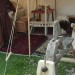 rosenburg_023