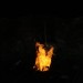 rosenburg_027