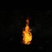 rosenburg_029