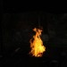 rosenburg_036