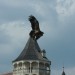 rosenburg_055