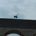 rosenburg_062