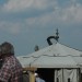 rosenburg_068