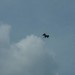 rosenburg_080
