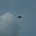 rosenburg_081