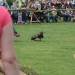 rosenburg_088
