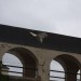 rosenburg_110