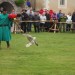 rosenburg_112