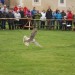 rosenburg_113