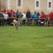 rosenburg_115