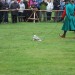 rosenburg_116