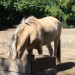 mini-IMG_0721