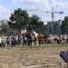 mini-IMG_0815