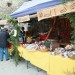 mini-IMG_8026