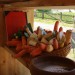 mini-IMG_9856