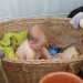 mini-IMG_9879