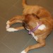 mini-IMG_1463