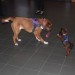mini-IMG_2169