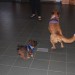 mini-IMG_2171