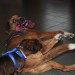 mini-IMG_2184