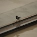 freudenau_129