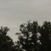 oelhafen_052