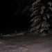 mini-DSCN0742