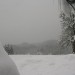 mini-DSCN0861