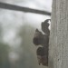 mini-IMG_0332