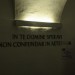 mini-IMG_0490
