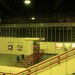 mini-IMG_134