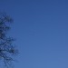 mini-IMG_3787