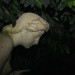 mini-IMG_4027