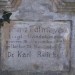 mini-IMG_3105