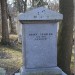 mini-IMG_3108